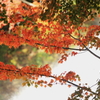 湯滝①