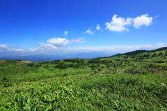 志賀草津道路③