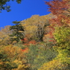 奥日光③