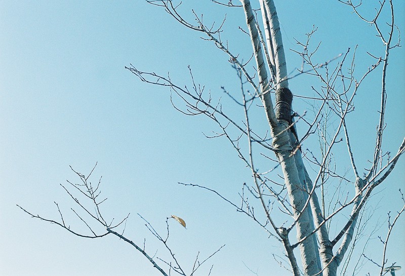 Photo of one day
