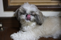 ベロリン