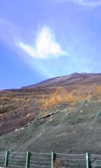 富士山五合目蝶々現る。