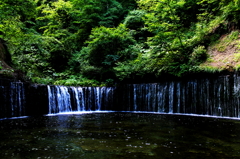 白糸の滝