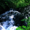 白糸の滝までの道(1)