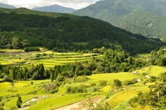 天界集落の棚田（本山町大石・吉延地区）