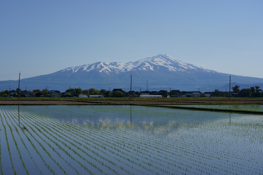 リフレクションの季節