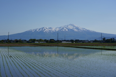 リフレクションの季節