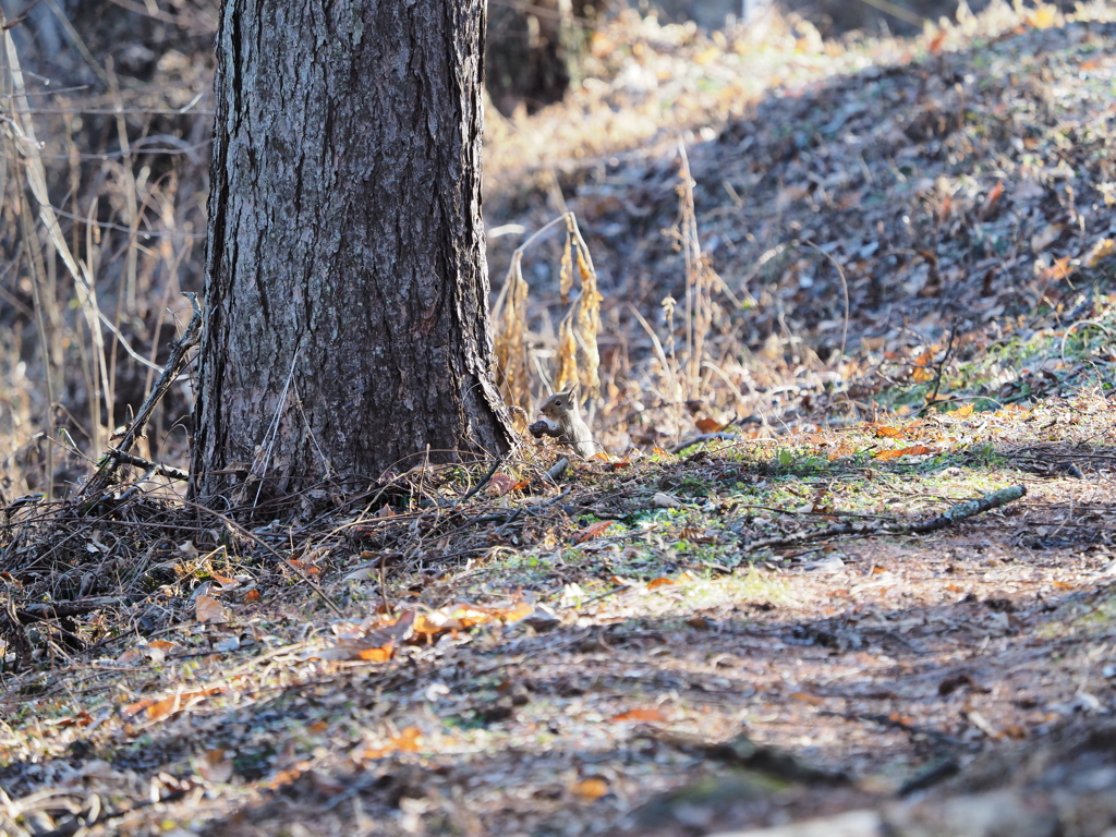 1階カウンター席
