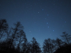 カラマツ林を見下ろして