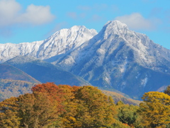 季節のコントラスト
