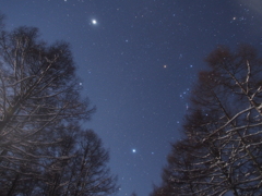 冬空を見上げて