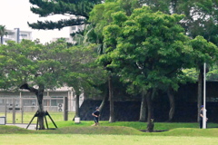 公園を走る人。