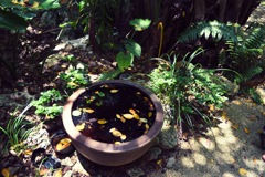 沖縄県南城市、百名伽藍の庭。
