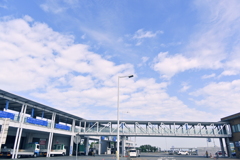 朝散歩。
