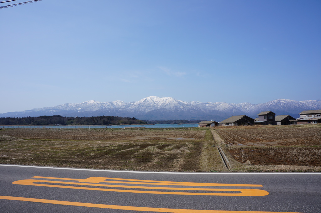 引き続きNEX 5Nのテストです