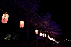 夜桜②