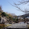 引き続きNEX 5Nのテストです３