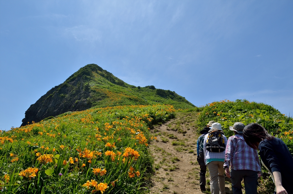 大野亀カンゾウ祭り⑤