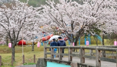 雨けぶる