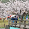 雨けぶる