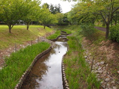P9230237