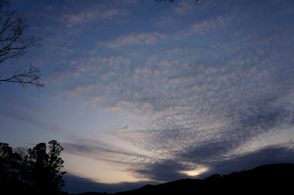 うろこ雲