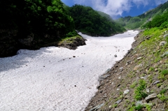 大樺沢雪渓