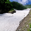 大樺沢雪渓