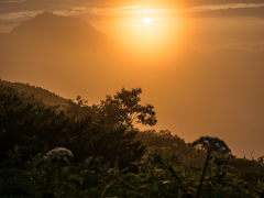 北岳山荘　テン場