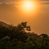 北岳山荘　テン場