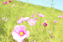 風に吹かれて
