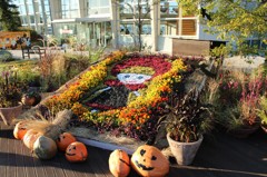 Ｔｒｉｃｋ ｏｒ Ｔｒｅａｔ！