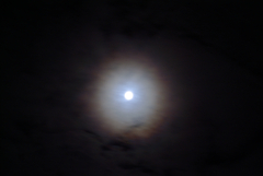 12.8.31 blue moon