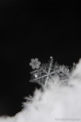 雪の結晶