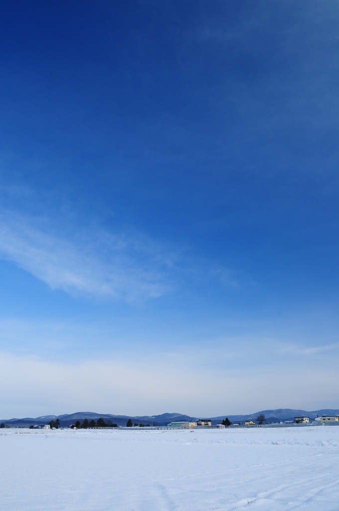 白雪・青空
