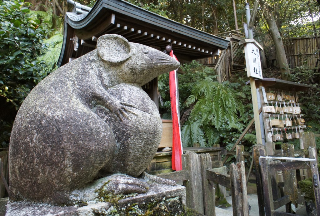 こまねずみ