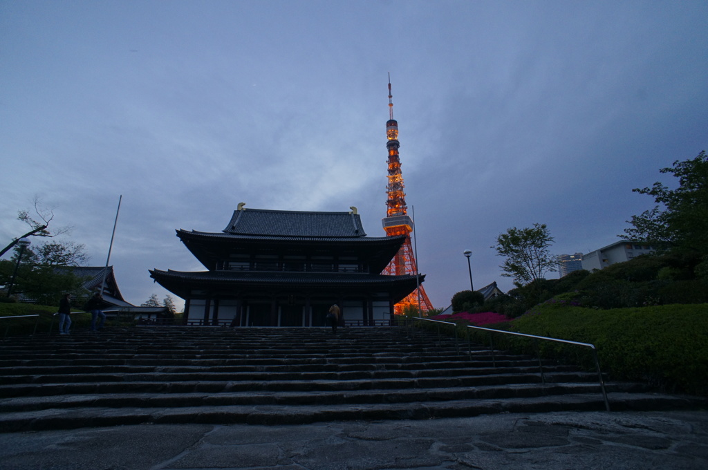 光る巨塔