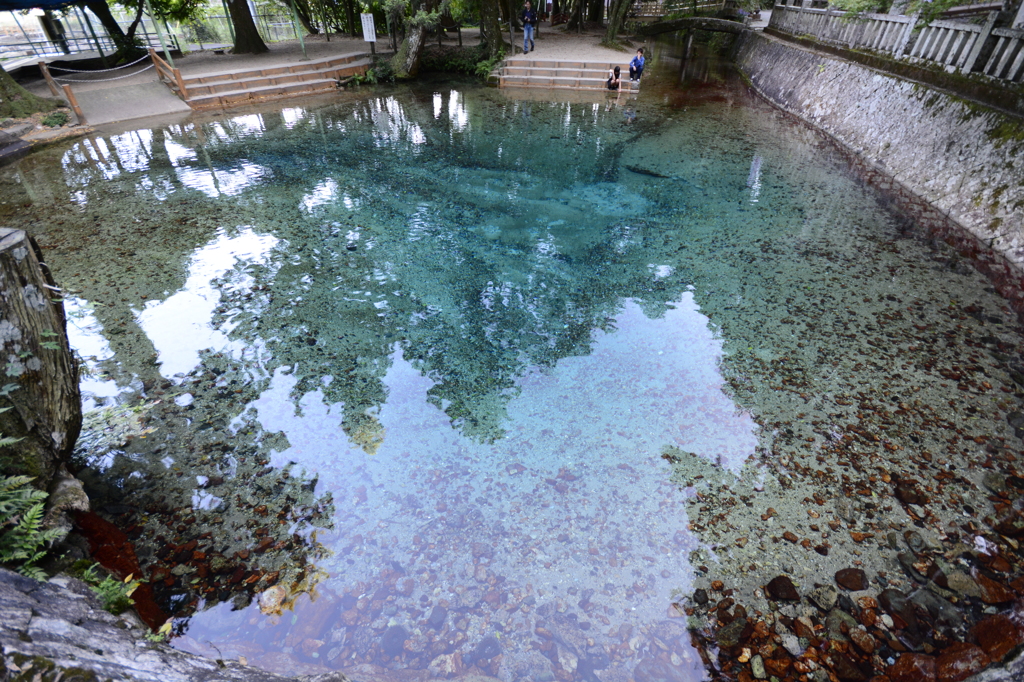 blue pond