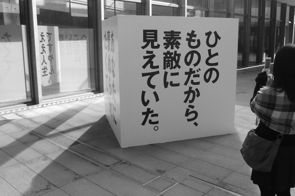 こっちを向いて