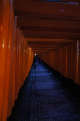 千本鳥居