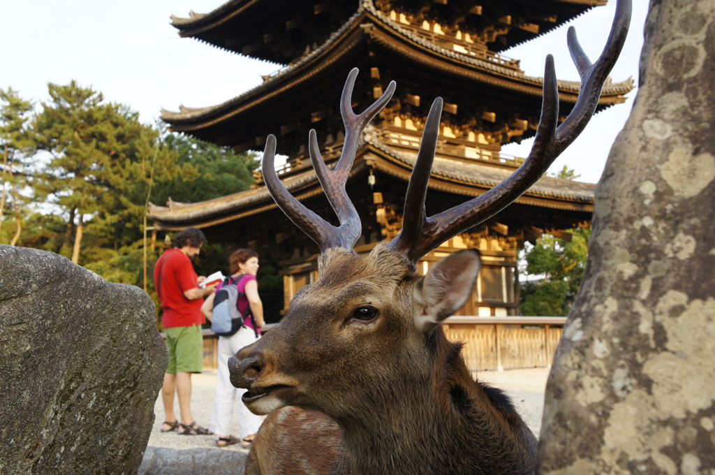 エイリアン