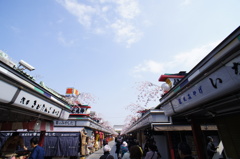 お土産道