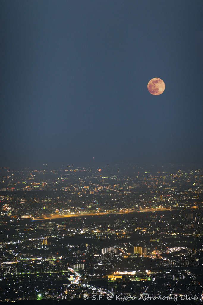 春霞の月夜