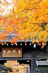 常寂光土