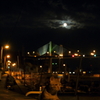 満月の夜。　尾道の猫たち　#001