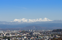 大雪の晩秋