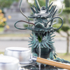 美瑛神社