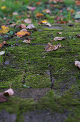 秋の石畳