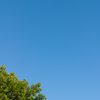 青い空と，緑の木