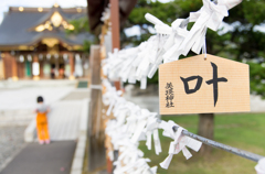 美瑛神社